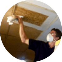 professional-cleaning-icon-1 High Dusting and Ceiling Cleaning in Crystal Lake High dusting 10