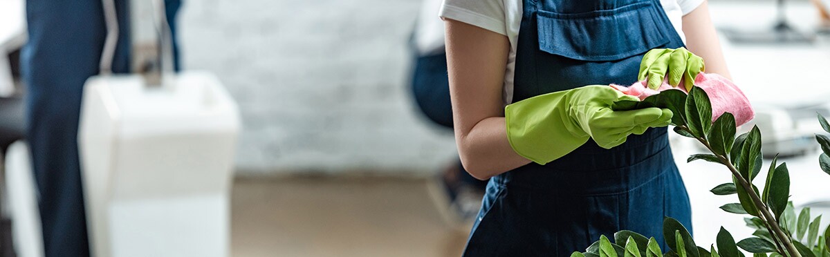 AdobeStock_331710613 17 QUESTIONS TO ASK DURING YOUR COMMERCIAL & OFFICE CLEANING COMPANY SEARCH