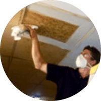 High Dusting and Ceiling Cleaning High dusting 10